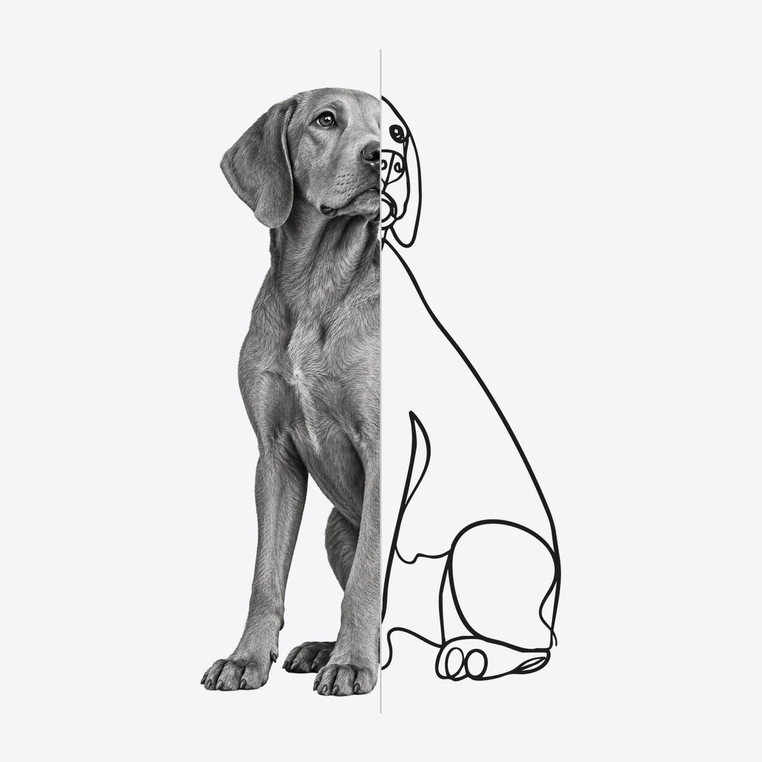 Foto de un perro convertida en ilustración de líneas